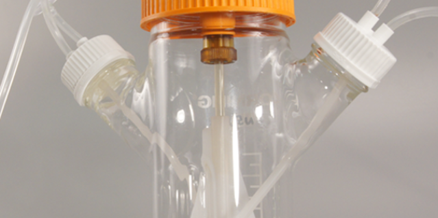 Bottle Assembly 2 Copy